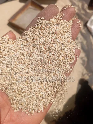 Premium White Sesame Seeds