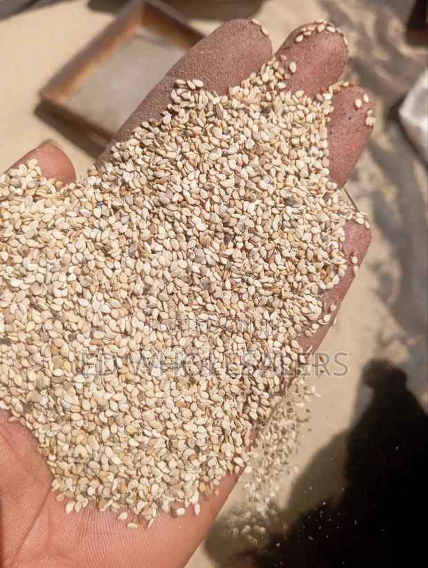 Premium White Sesame Seeds - thumbnail 2
