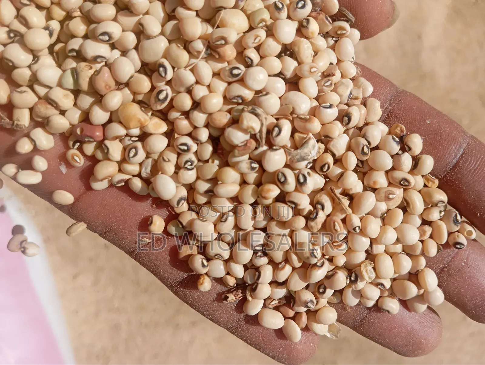 Kunde / Cow Peas