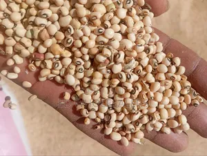 Kunde / Cow Peas