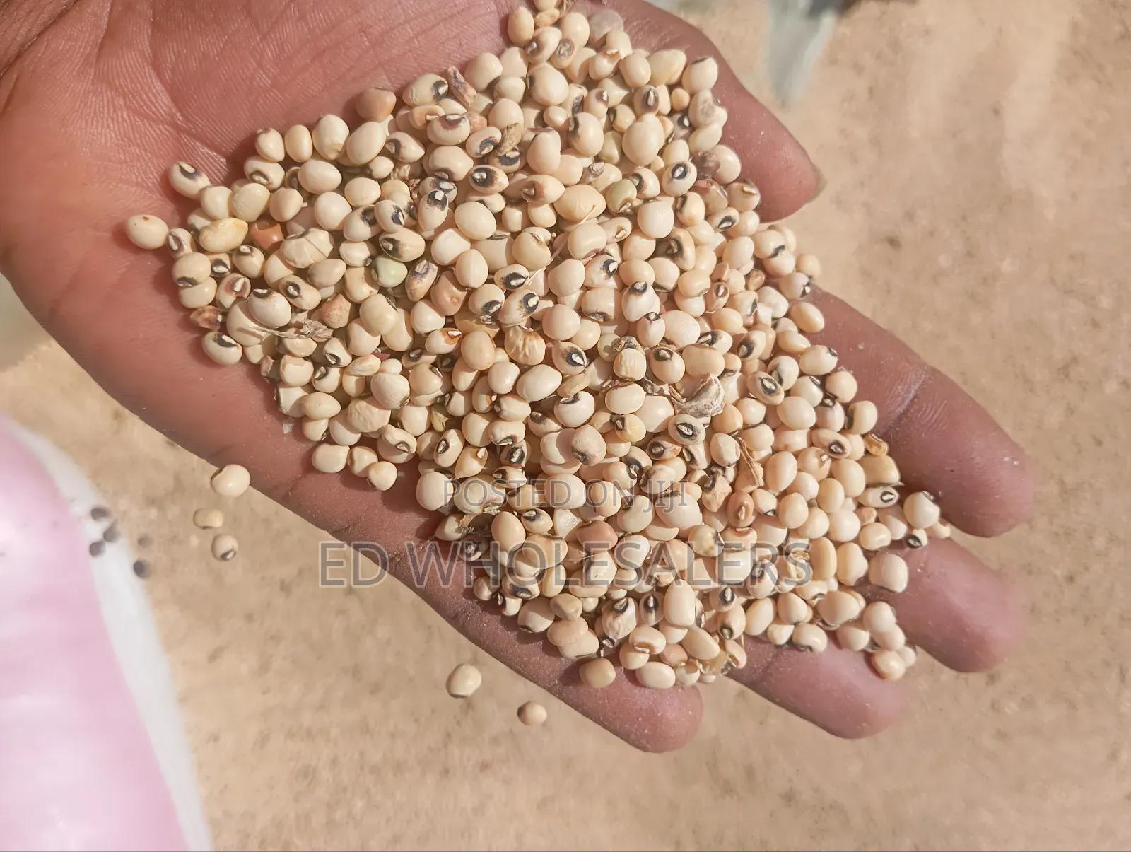 Kunde / Cow Peas