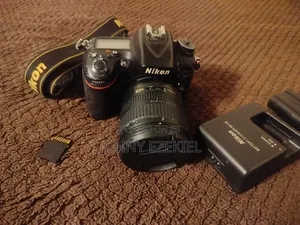 Nikon D7100
