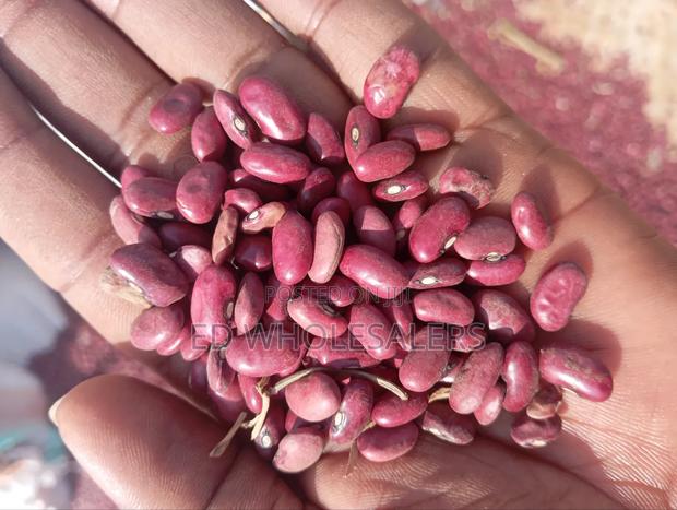 Wairimu Beans - thumbnail 3