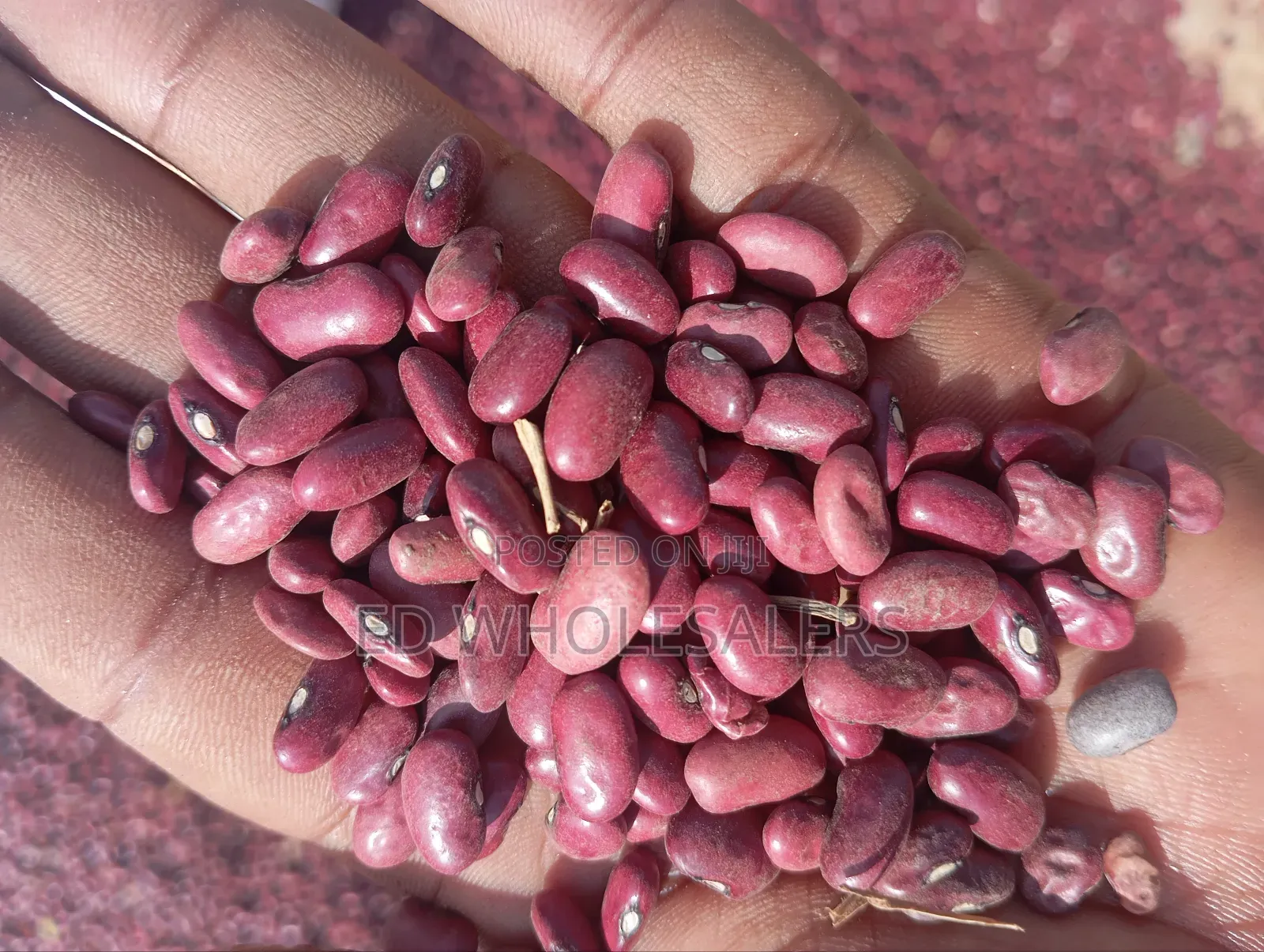 Wairimu Beans