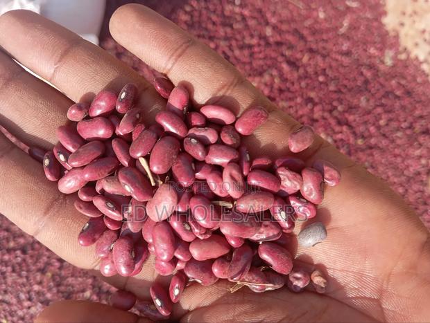 Wairimu Beans - thumbnail 5