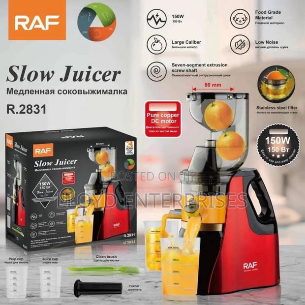 Raf Slow Juicer - main view