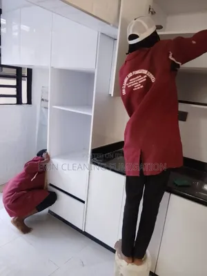 Professional House Cleaning