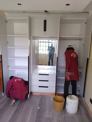 Cleaners General House Cleaning Fogging Fumigation