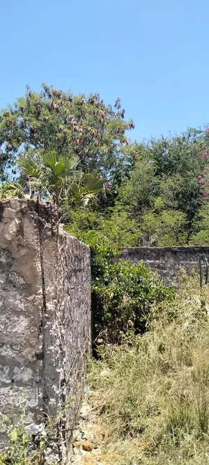 Plot In Bamburi