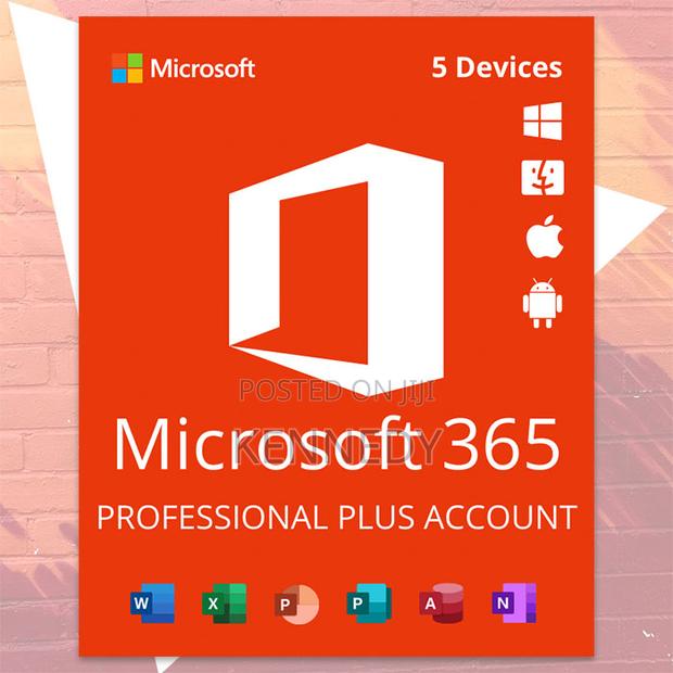 Microsoft 365 Pro Plus Account - main view