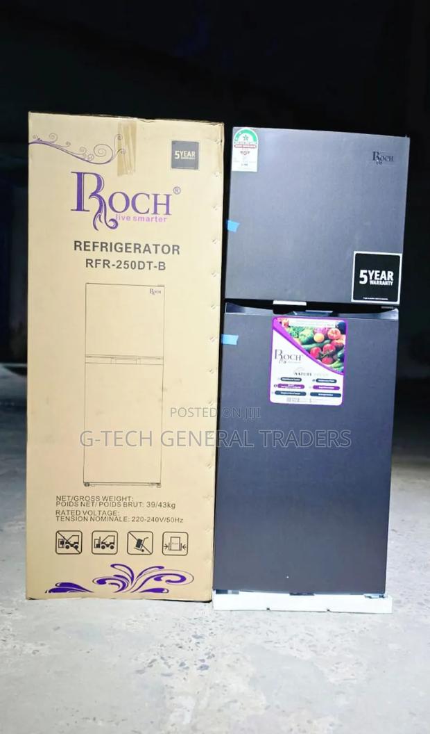 Roch 197l Rfr-250-dt-b Double Door No Frost Refrigerator