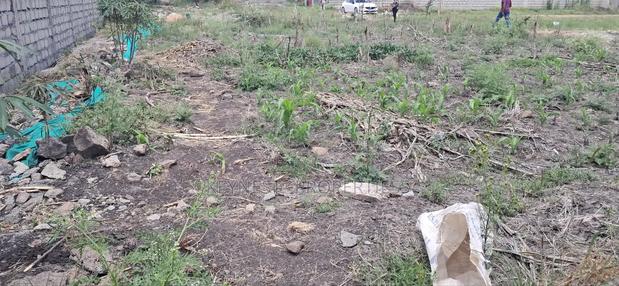 Land for Sale - thumbnail 12