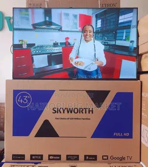 Skyworth 43 Inch Smart Android Google Tv 43e3500g