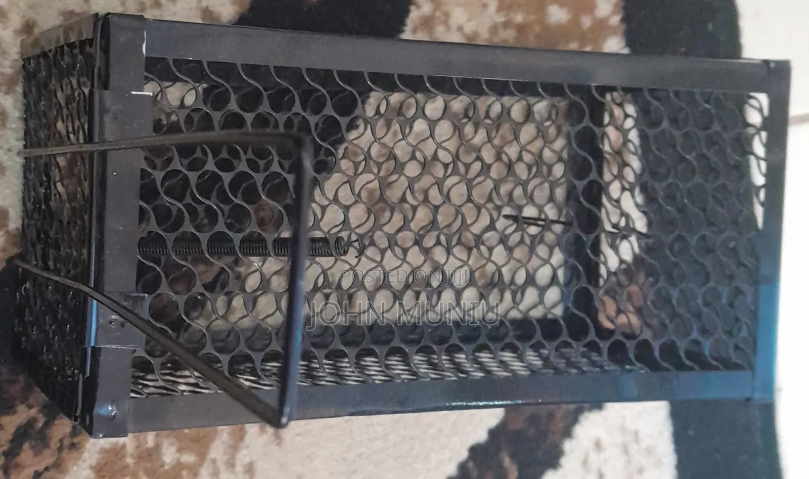 Best Rat Traps