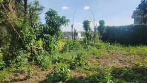 Mugumo Off Kamiti Road - thumbnail 2