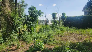 Mugumo Off Kamiti Road