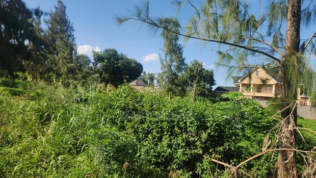 Mugumo Off Kamiti Road - thumbnail 3
