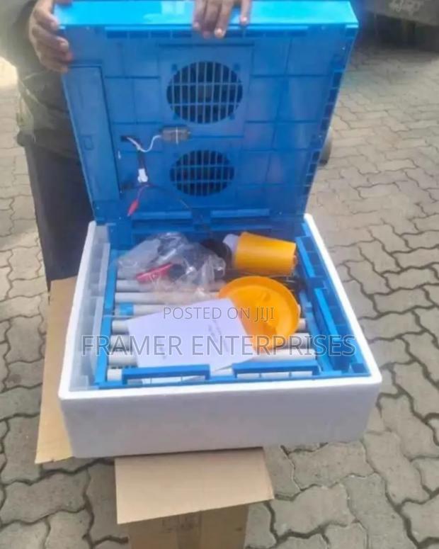 64egg Incubator - main view