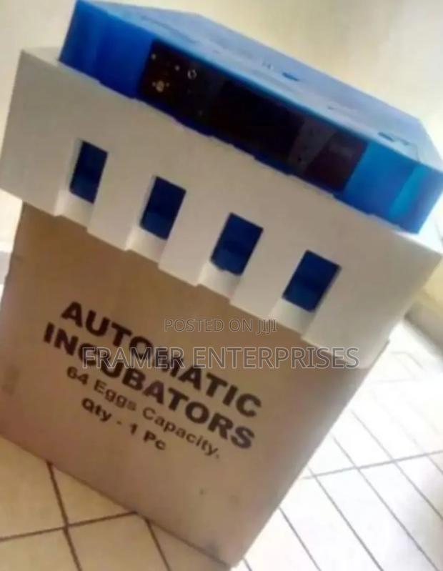 Egg Incubator - main view