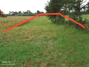 Good Fertile Land With a Three Room House 100m From Tarmac