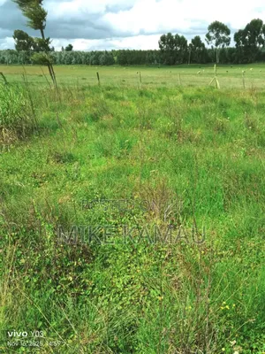 Good Fertile Land With a Three Room House 100m From Tarmac