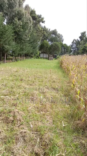 Good Fertile Land With a Three Room House 100m From Tarmac