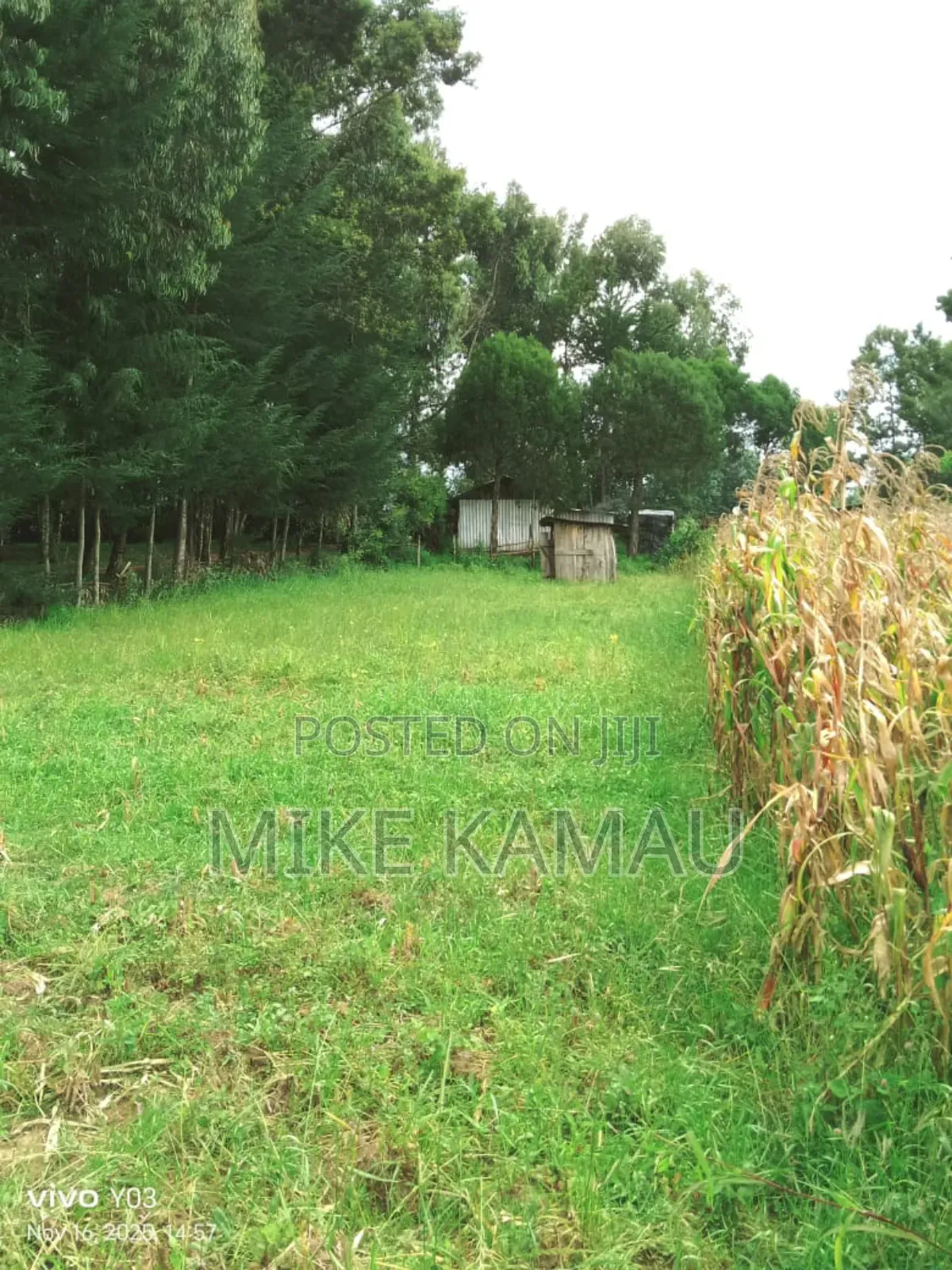 Good Fertile Land With a Three Room House 100m From Tarmac