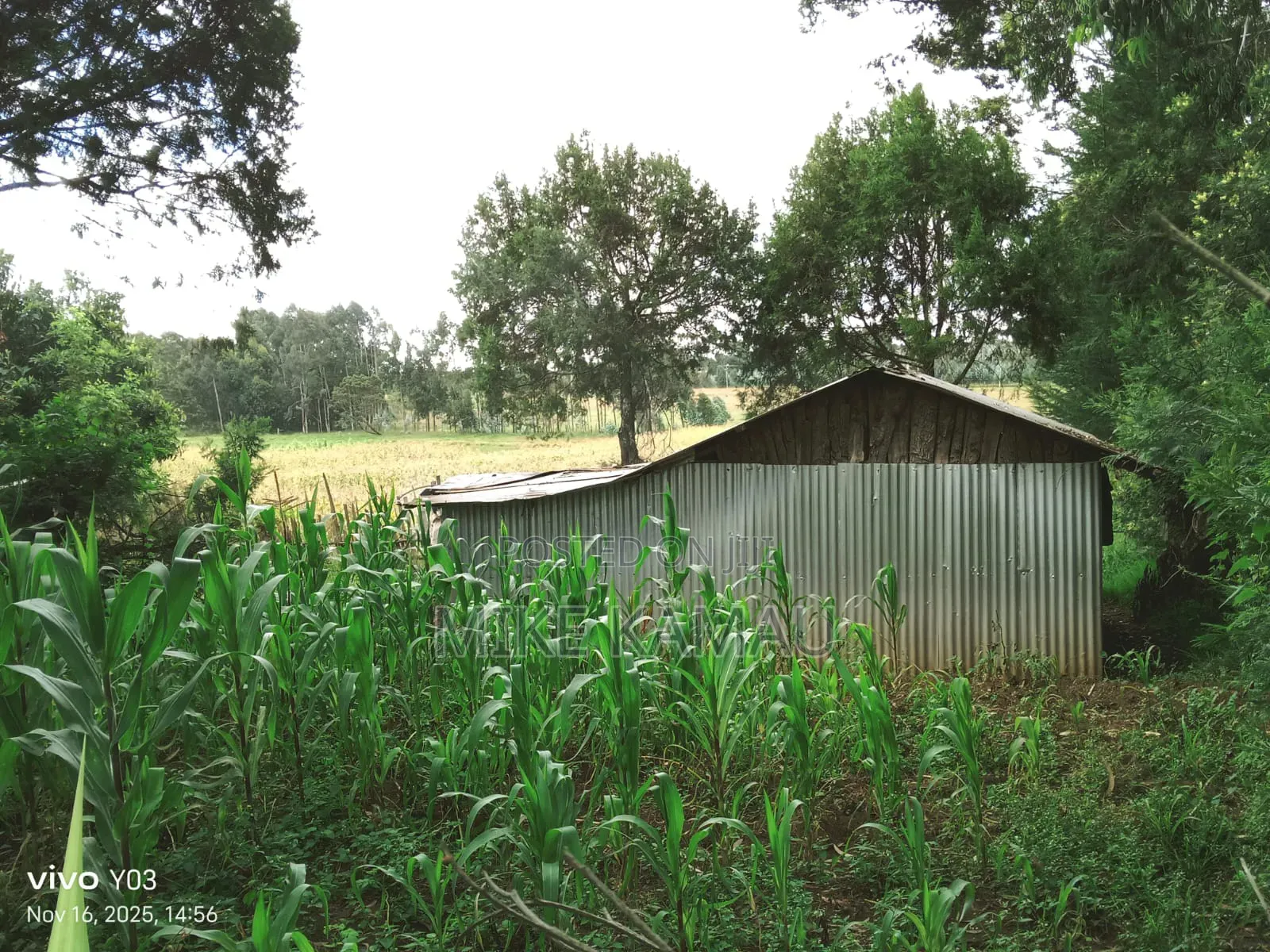 Good Fertile Land With a Three Room House 100m From Tarmac
