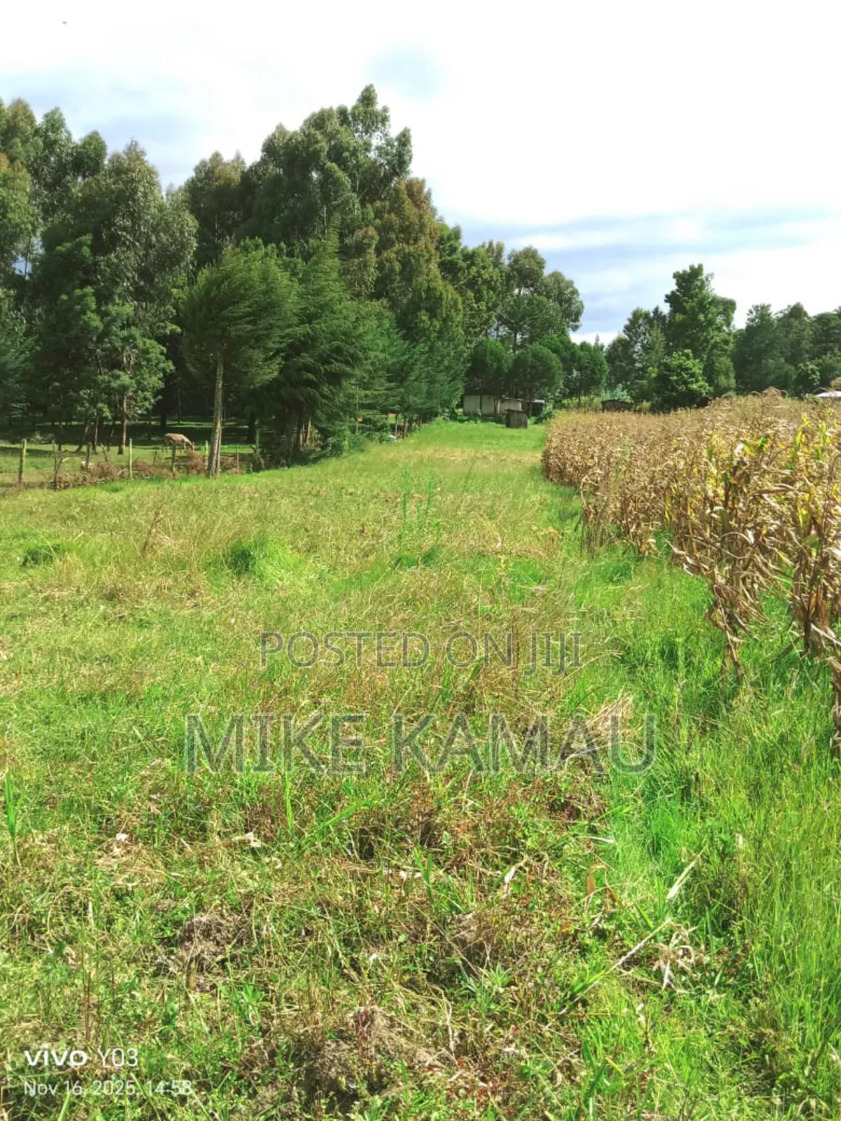 Good Fertile Land With a Three Room House 100m From Tarmac
