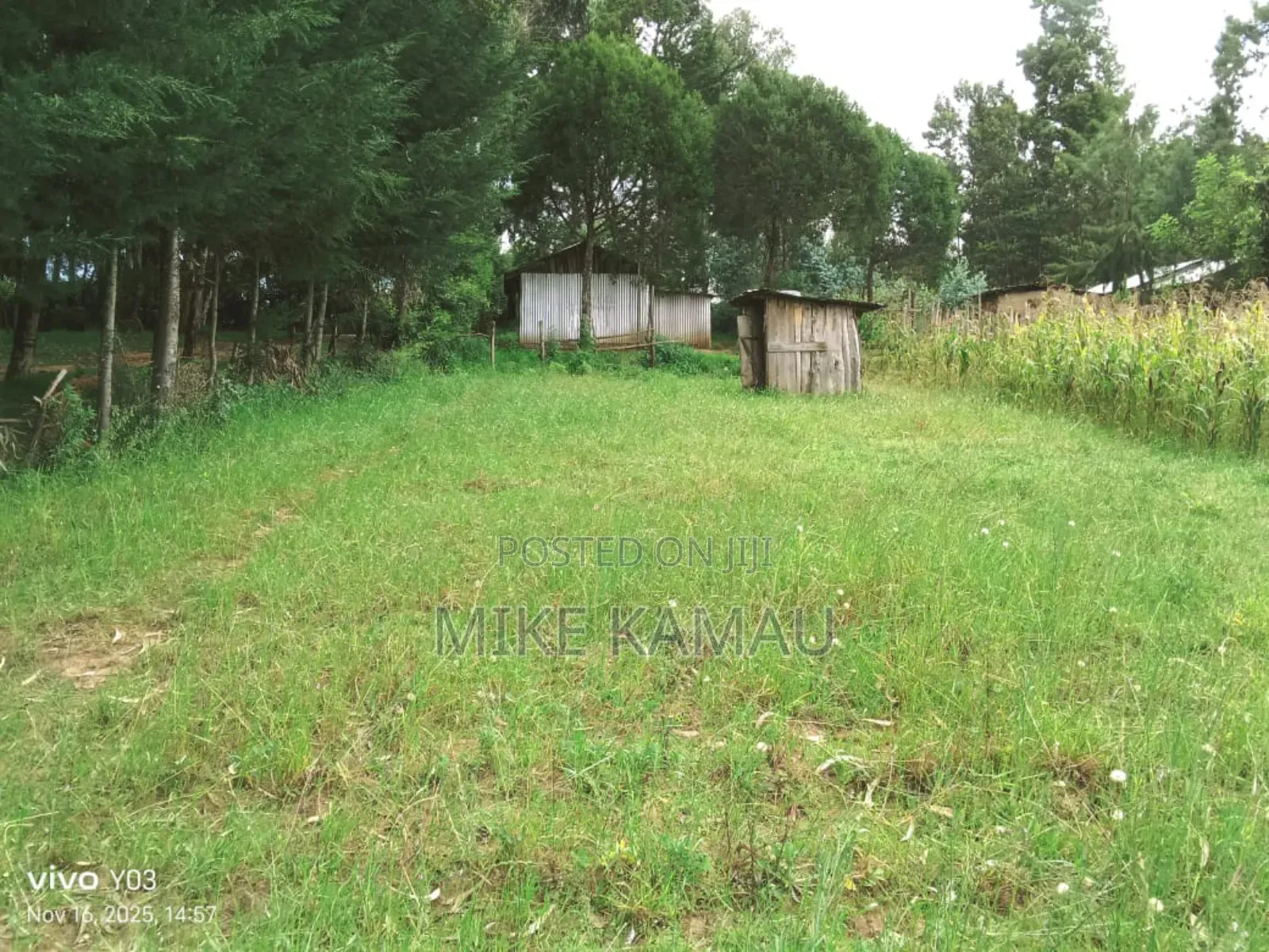 Good Fertile Land With a Three Room House 100m From Tarmac