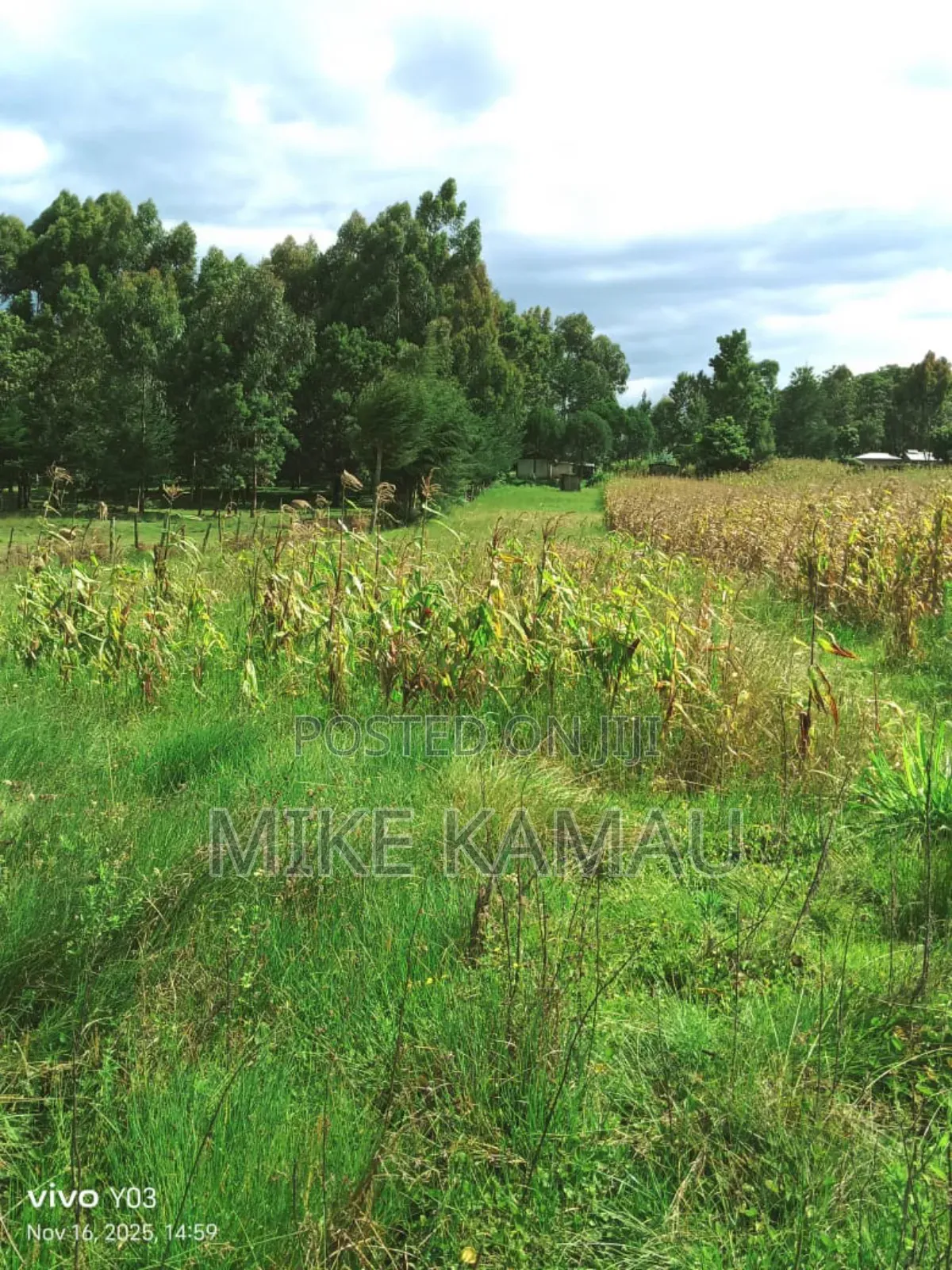 Good Fertile Land With a Three Room House 100m From Tarmac