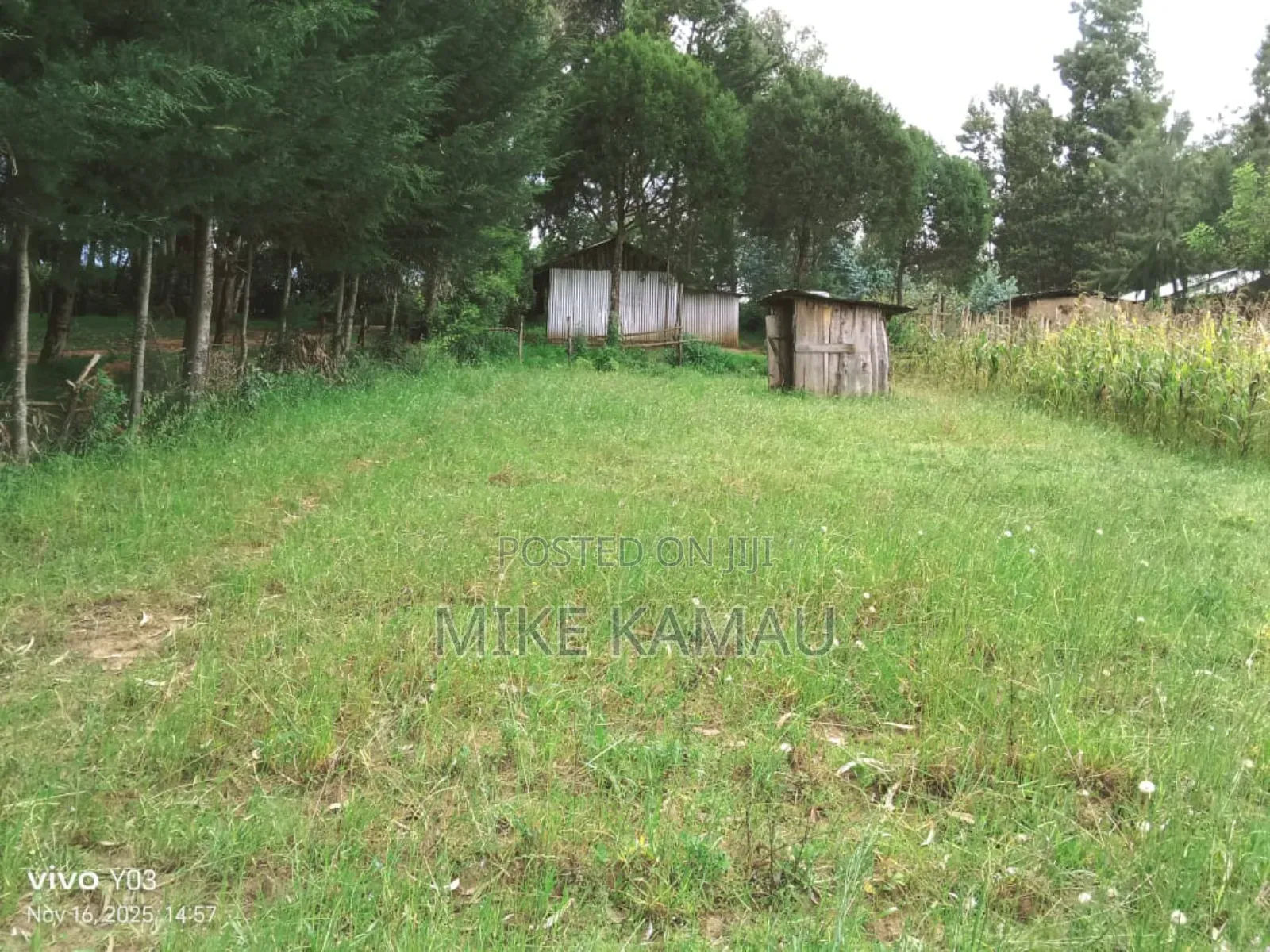 Good Fertile Land With a Three Room House 100m From Tarmac