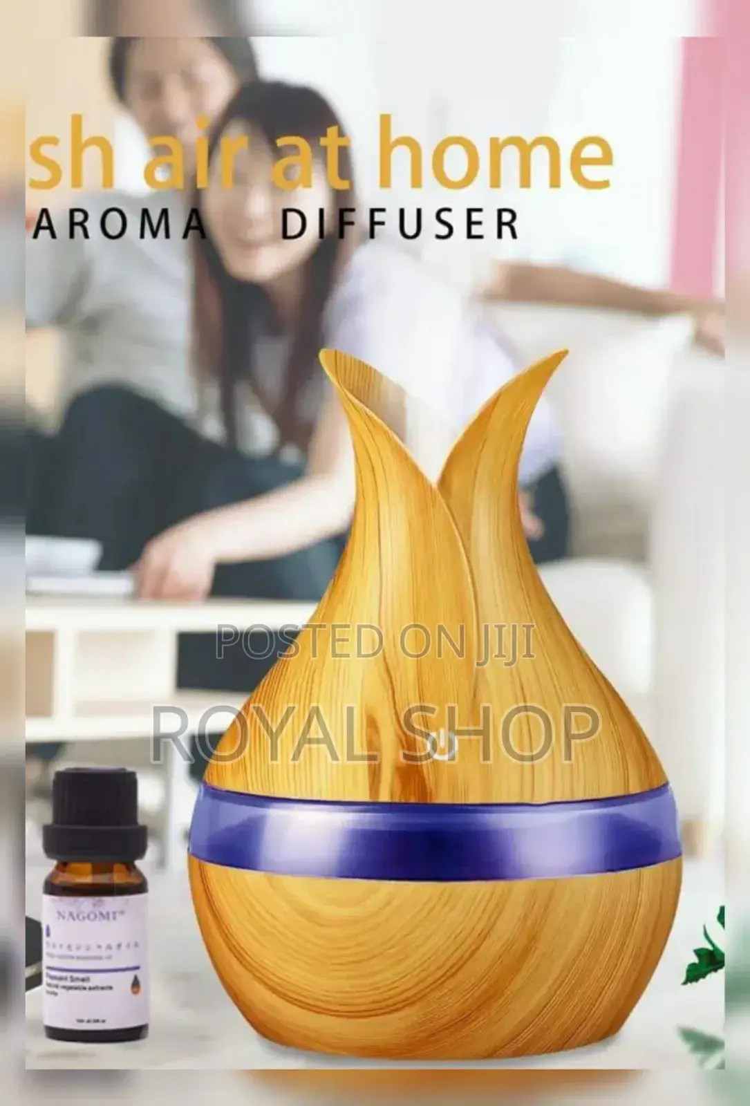 Air Humidifier 300ml