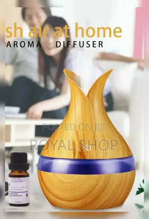 Air Humidifier 300ml