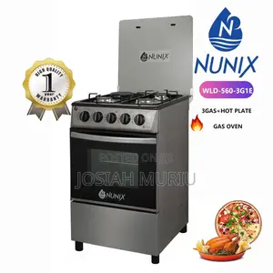 New Model 50*55 Nunix 3+1 Standing Cooker With Gas Oven