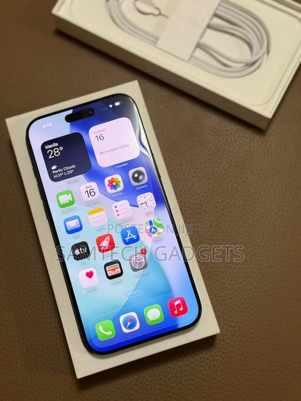 Apple iPhone 15 Pro Max 256 GB Silver - main view