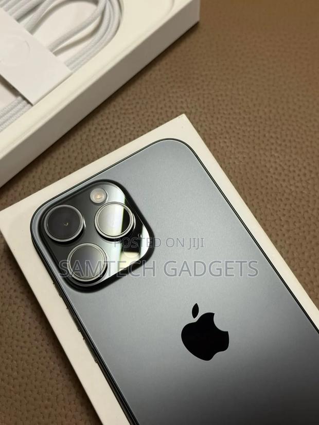 Apple iPhone 15 Pro Max 256 GB Silver - thumbnail 4