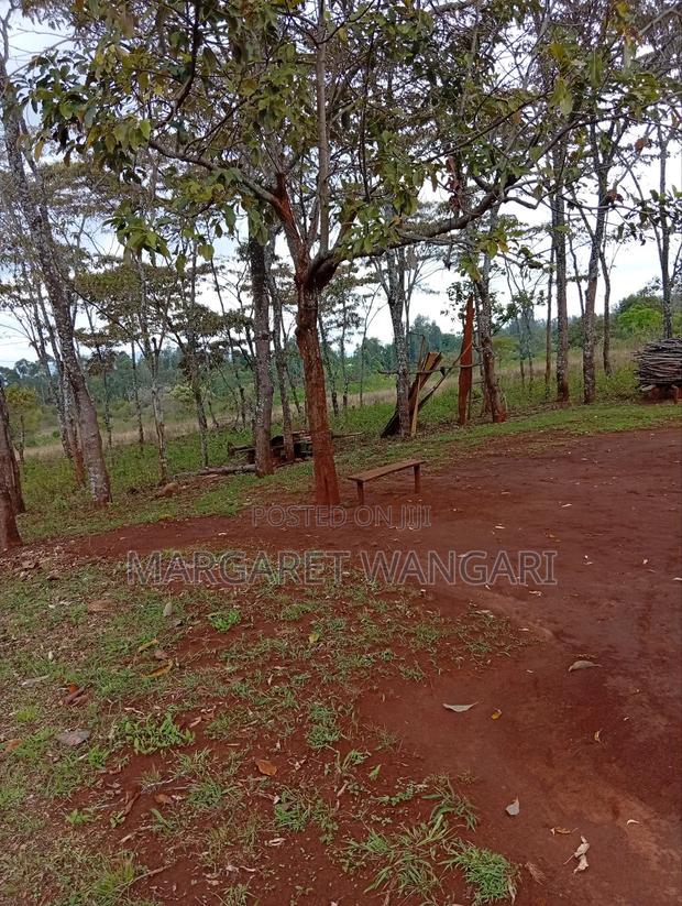 Prime Plots - thumbnail 5