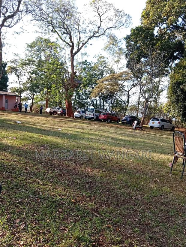 Prime Plots - thumbnail 6