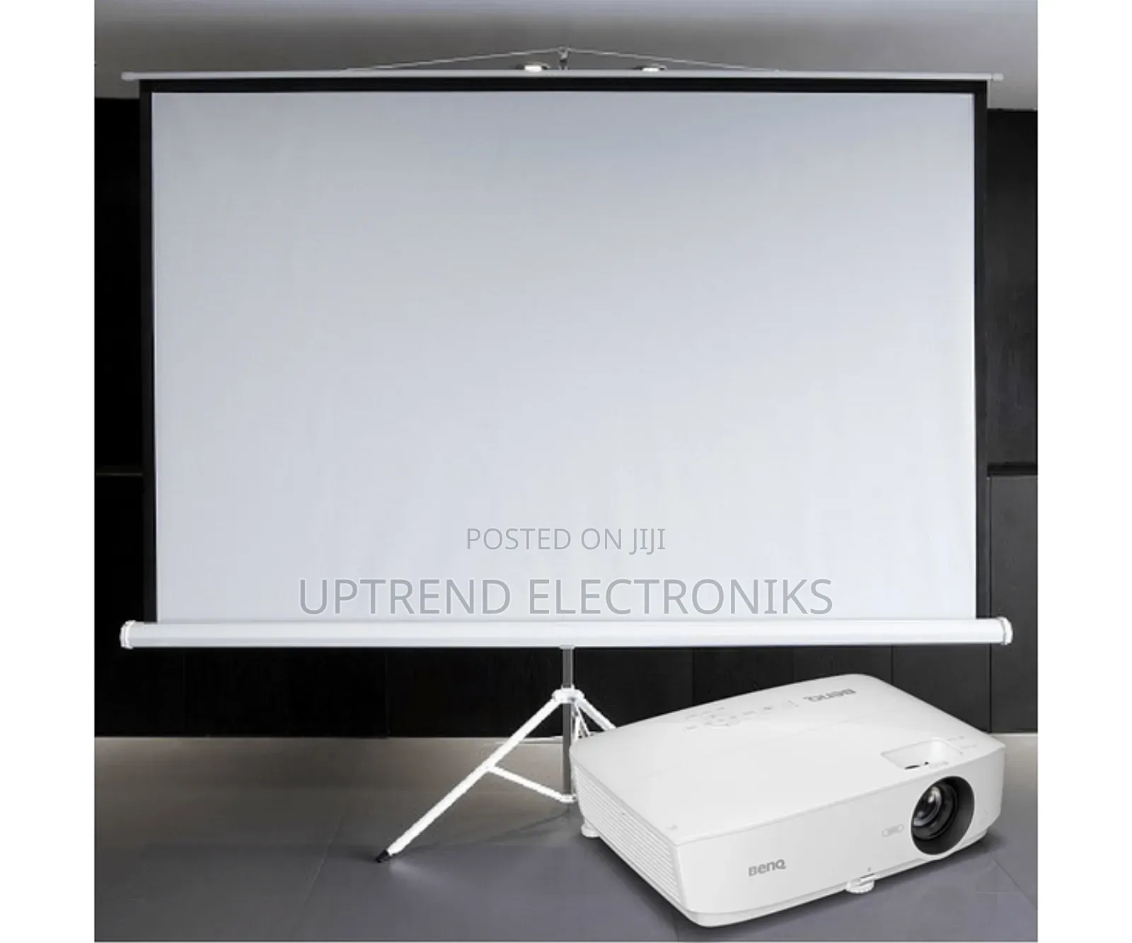 Projector Screen