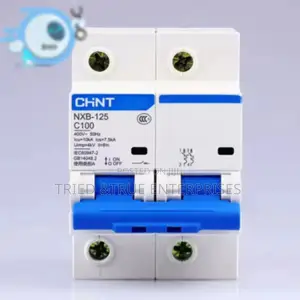 Modern 100amps Double Pole Chint Tfr4