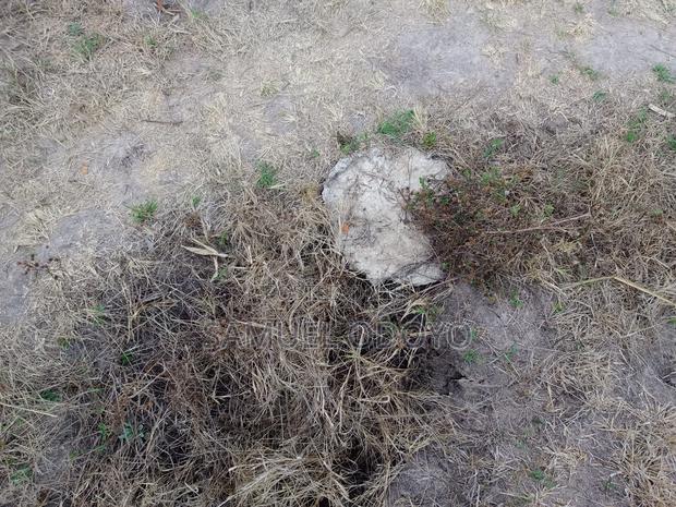 For Sale — 1⁄2 Acre, Mua Hills - thumbnail 7