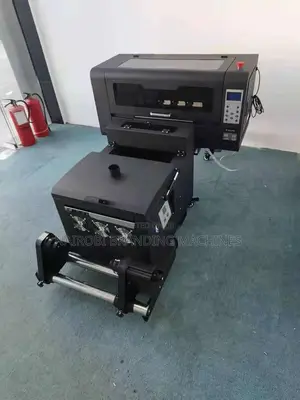 30cm Yinghe DTF Printing Machine for Small Business