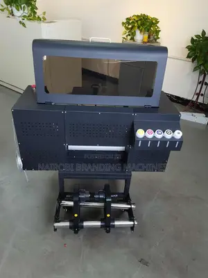 30cm Yinghe DTF Printing Machine for Small Business