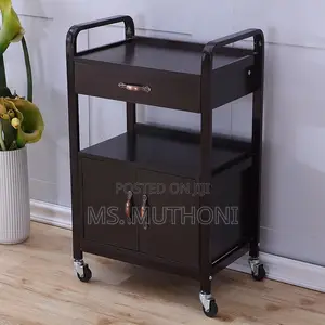 Two Tier Unit With a Drawer a Lower Cabinet Mobile Multipurpose Car