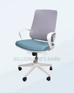 Executive Ergonomic Moving — Office | Nairobi Delivery Guaranteed