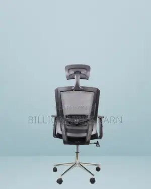 Ergonomic Mesh Chair With Headrest | Comfort Meets Style