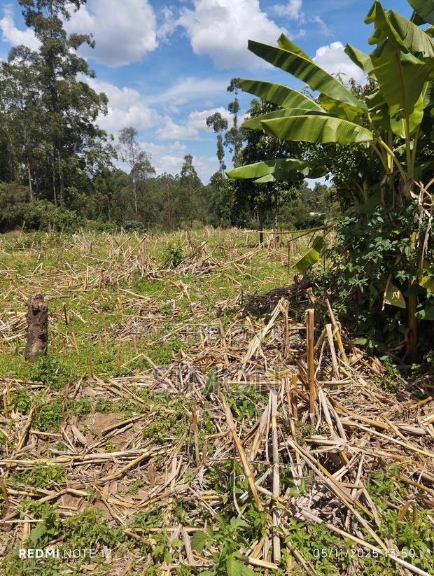 One and a Half Acre Land for Sale in Matunda, Mois-Bridge
