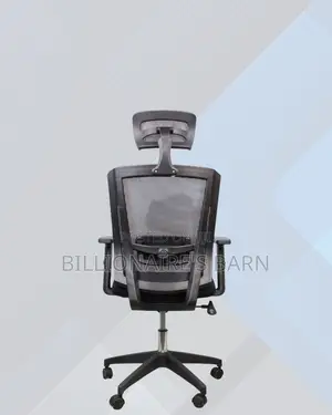Lightweight Mesh Office Chair | Budget-Friendly Ergonomic Choice