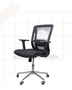 Mid-Back Executive Office Chair | Chrome Base, Modern Look